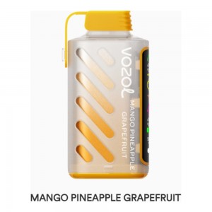 Vozol Gear Power 20000 Mango Pineapple Grapefruit