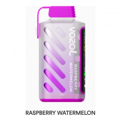 Vozol Gear Power 20000 Raspberry Watermelon
