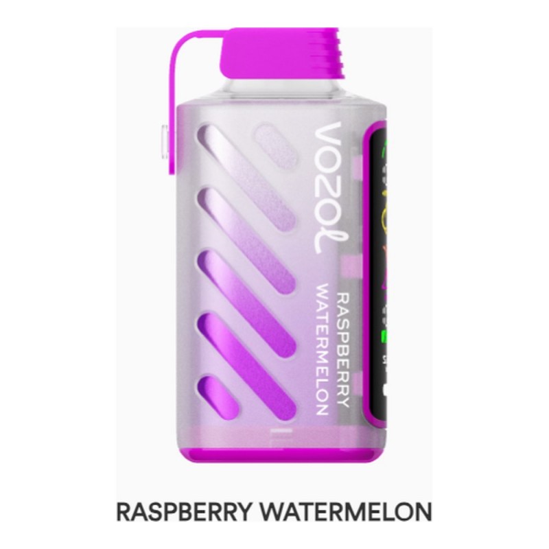 Vozol Gear Power 20000 Raspberry Watermelon
