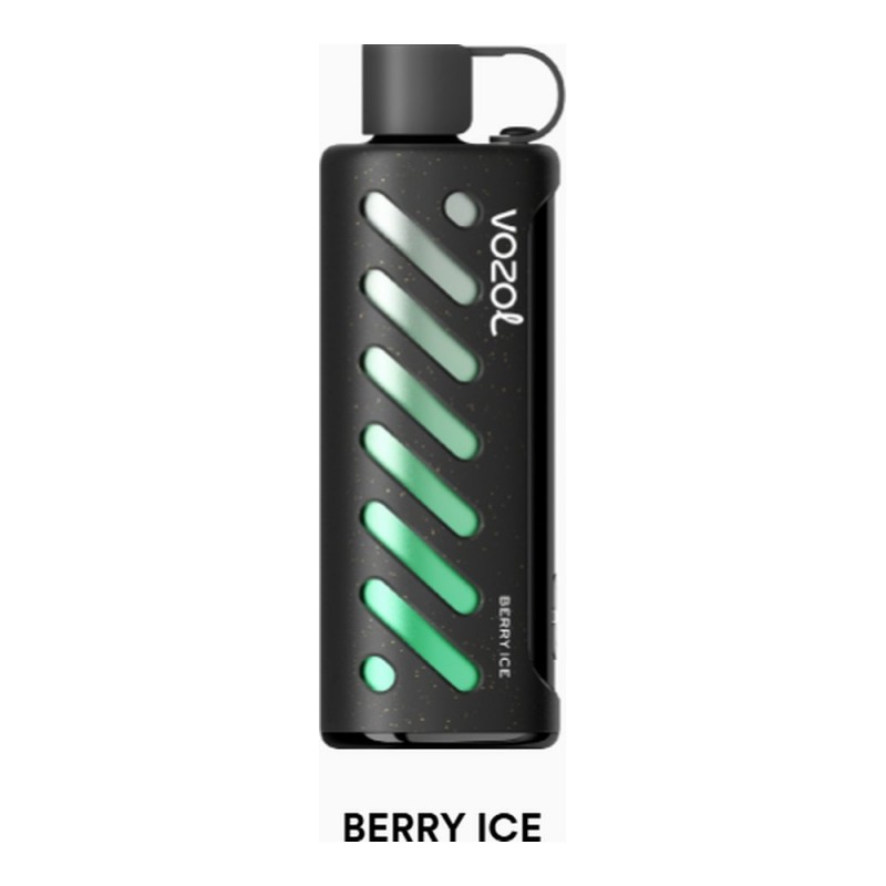 Vozol Gear Shisha 25000 Berry Ice