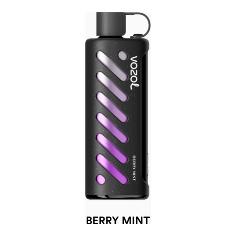 Vozol Gear Shisha 25000 Berry Mint
