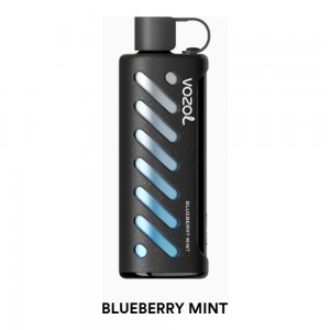 Vozol Gear Shisha 25000 Blueberry Mint