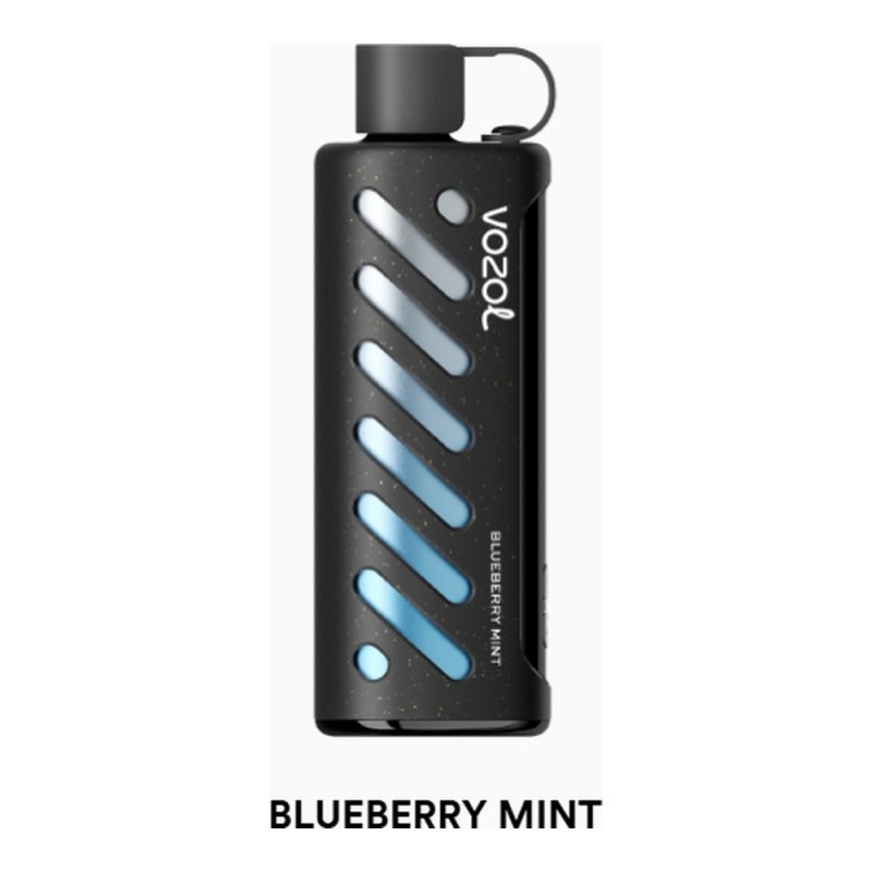 Vozol Gear Shisha 25000 Blueberry Mint