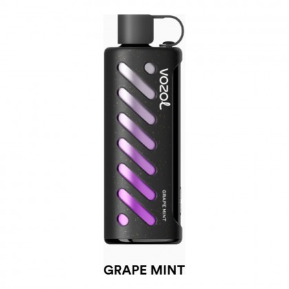 Vozol Gear Shisha 25000 Grape Mint