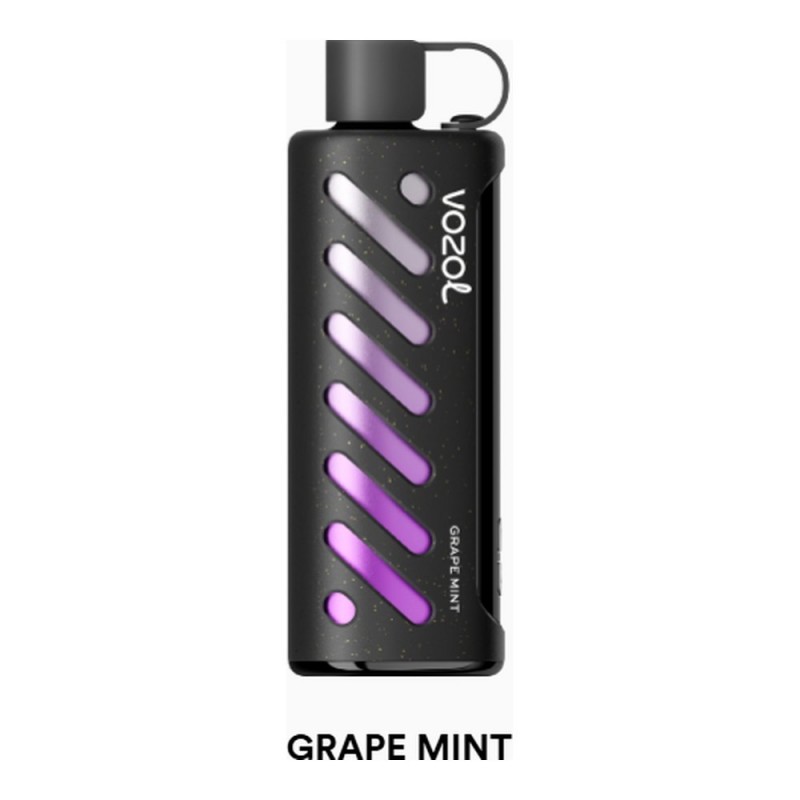 Vozol Gear Shisha 25000 Grape Mint