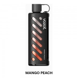 Vozol Gear Shisha 25000 Mango Peach