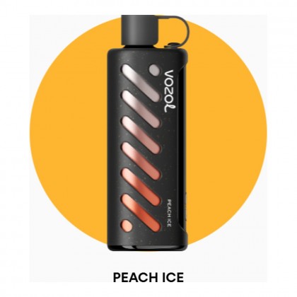 Vozol Gear Shisha 25000 Peach Ice