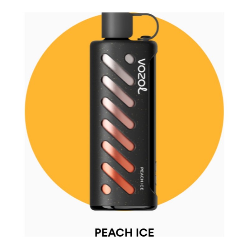 Vozol Gear Shisha 25000 Peach Ice