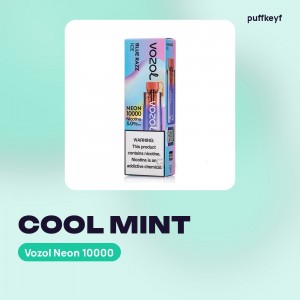 Vozol Neon 10000 Cool Mint