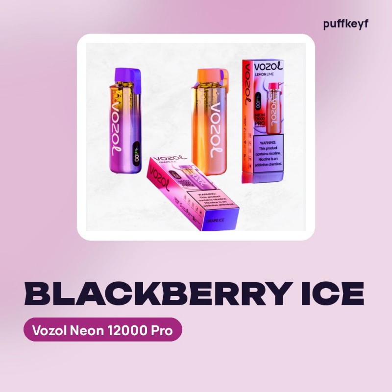 Vozol Neon 12000 Pro Blackberry Ice