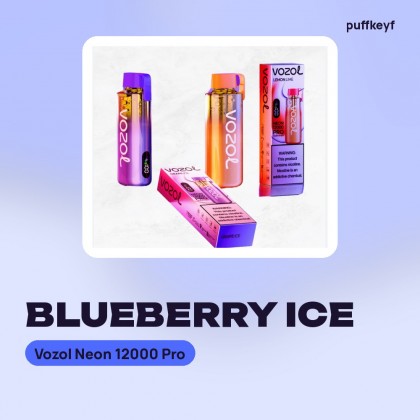 Vozol Neon 12000 Pro Blueberry Ice
