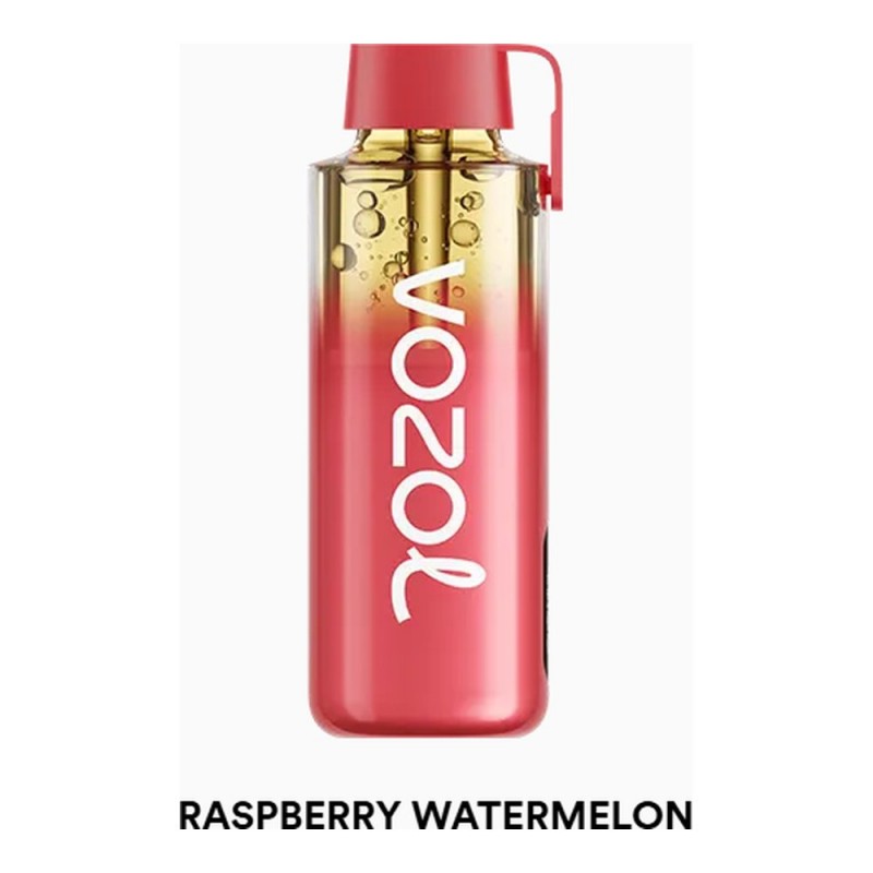 Vozol Neon 12000 Pro Raspberry Watermelon