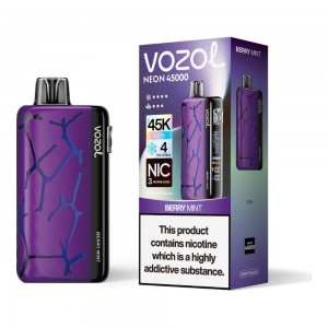 Vozol Neon 45000 Berry Mint