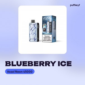 Vozol Neon 45000 Blueberry Ice