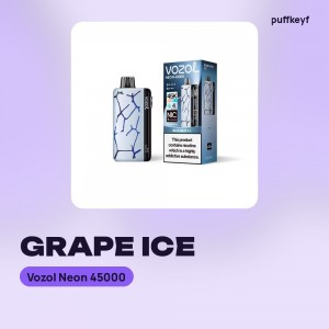 Vozol Neon 45000 Grape Ice