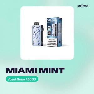 Vozol Neon 45000 Miami Mint