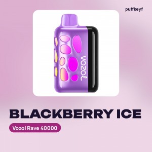 Vozol Rave 40000 Blackberry Ice