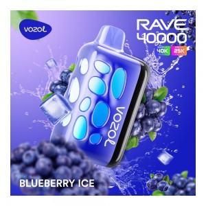 Vozol Rave 40000 Blueberry Ice