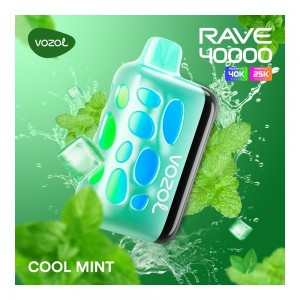 Vozol Rave 40000 Cool Mint