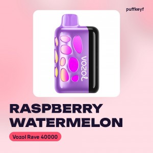 Vozol Rave 40000 Raspberry Watermelon