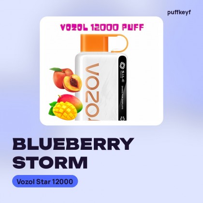 Vozol Star 12000 Blueberry Storm