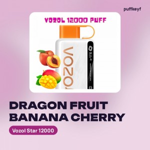 Vozol Star 12000 Dragon Fruit Banana Cherry