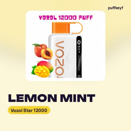 Vozol Star 12000 Lemon Mint