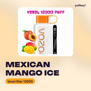 Vozol Star 12000 Mexican Mango Ice