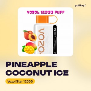 Vozol Star 12000 Pineapple Coconut Ice