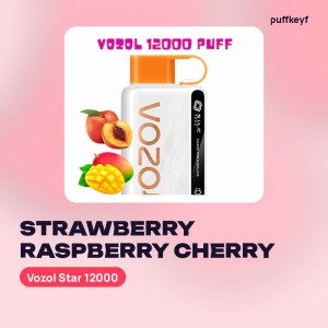 Vozol Star 12000 Strawberry Raspberry Cherry