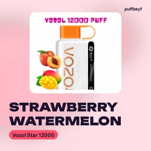 Vozol Star 12000 Strawberry Watermelon