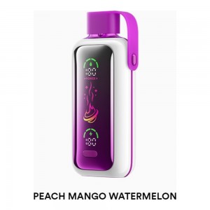 Vozol Star 20000 Peach Mango Watermelon