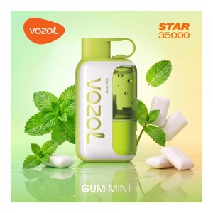 Vozol Star 35000 Gum Mint