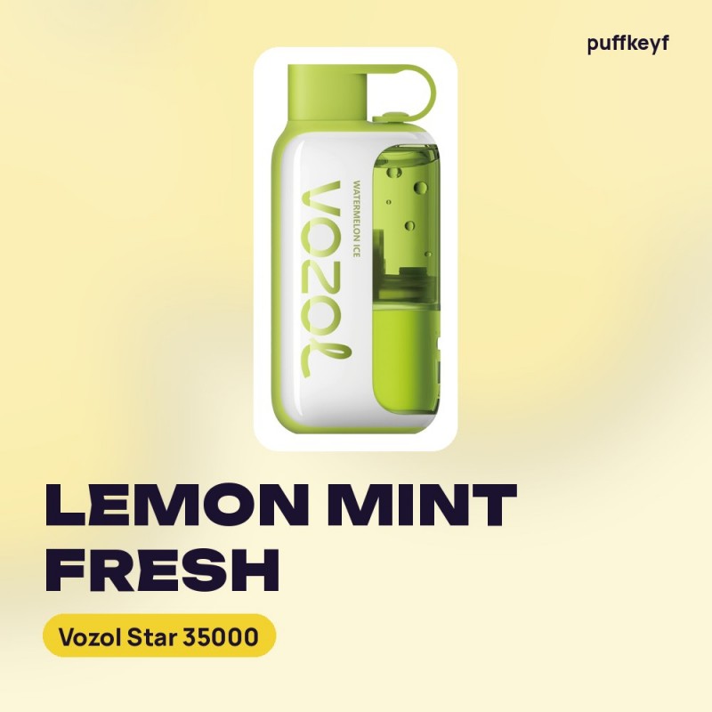 Vozol Star 35000 Lemon Mint Fresh