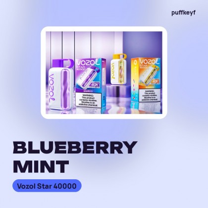 Vozol Star 40000 Blueberry Mint
