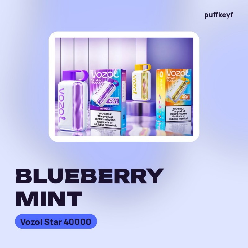 Vozol Star 40000 Blueberry Mint
