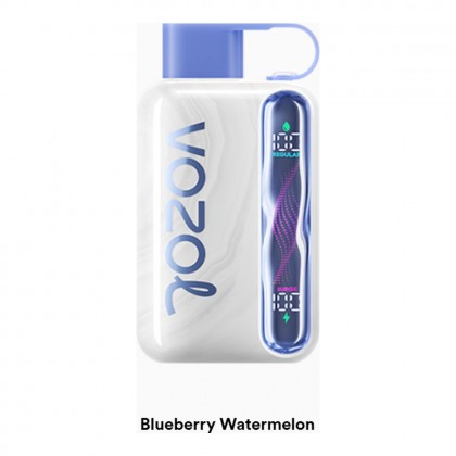 Vozol Star 40000 Blueberry Watermelon