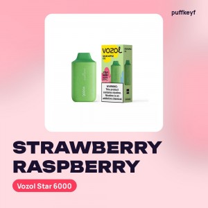 Vozol Star 6000 Strawberry Raspberry