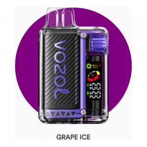 Vozol Vista 20000 Grape Ice