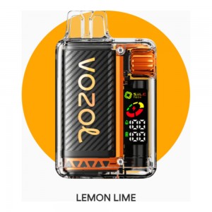 Vozol Vista 20000 Lemon Lime