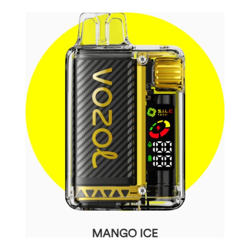 Vozol Vista 20000 Mango Ice
