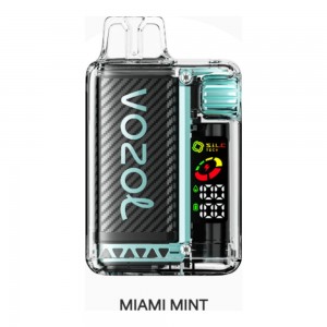 Vozol Vista 20000 Miami Mint