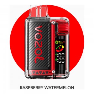 Vozol Vista 20000 Raspberry Watermelon