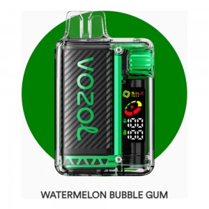 Vozol Vista 20000 Watermelon Bubblegum