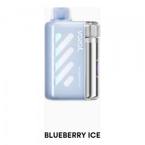 Vozol Vista 40000 Blueberry Ice