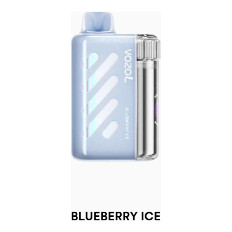 Vozol Vista 40000 Blueberry Ice