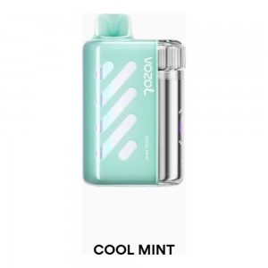 Vozol Vista 40000 Cool Mint