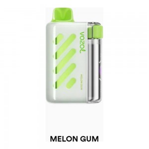 Vozol Vista 40000 Melon Gum