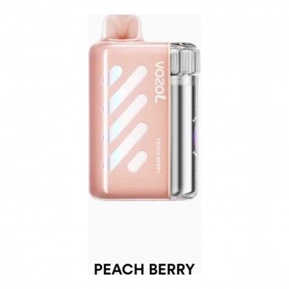 Vozol Vista 40000 Peach Berry