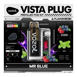 Vozol Vista Plug 10000 Mr Blue